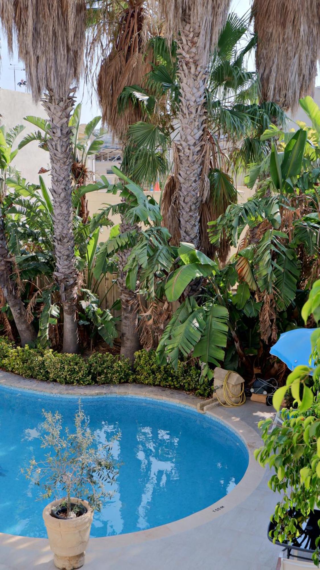 Village Knights Accommodation Żebbuġ Exterior foto